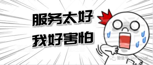 金策投資咨詢 企業的貼心服務管家，精準投資咨詢引領未來